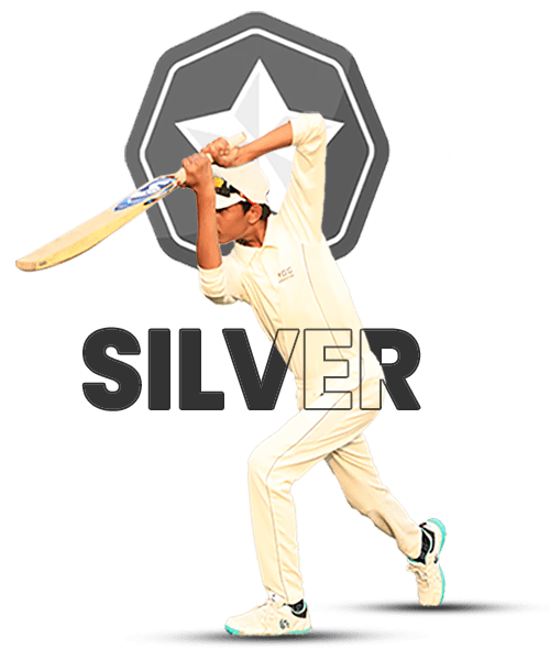 Nimble Institute Of cricket | NIOC | BEST CRICKET Academy Silver Plan