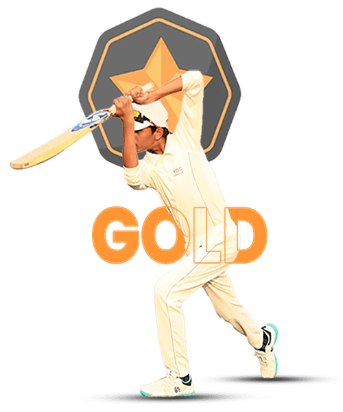 Nimble Institute Of cricket | Gold Plan | NIOC | BEST CRICKET Academy